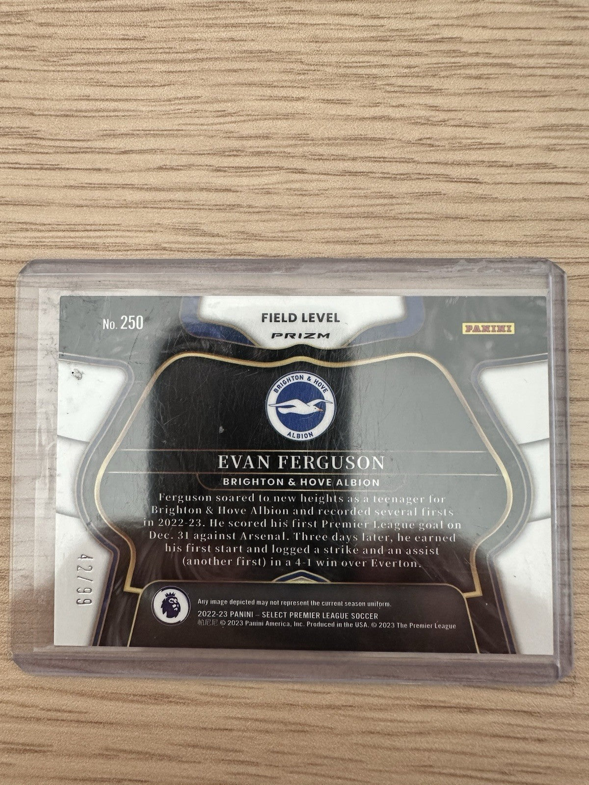Evan Ferguson 42/99 Panini Select Brighton EPL Rookie 2022/23