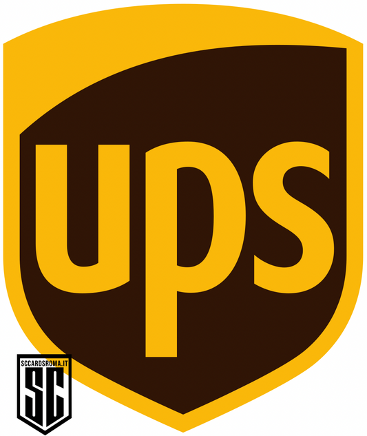 UPS Shipment Italy