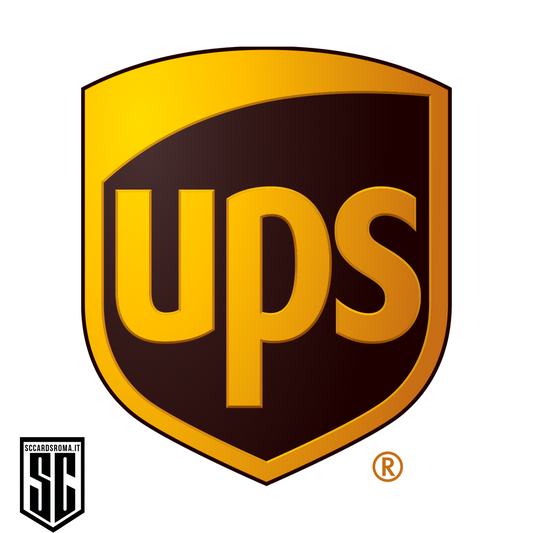 UPS Shipment Italy